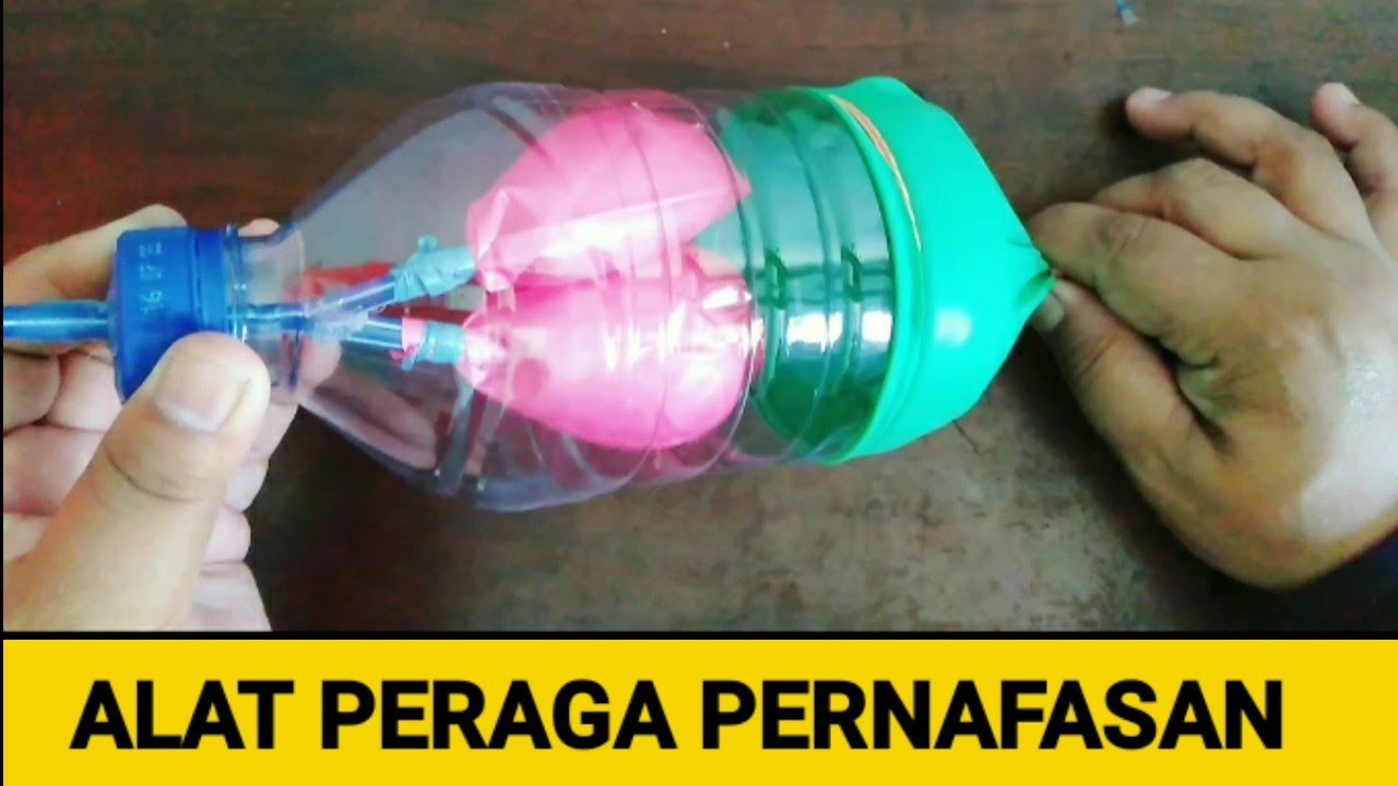 CARA MEMBUAT ALAT PERAGA PERNAFASAN MANUSIA