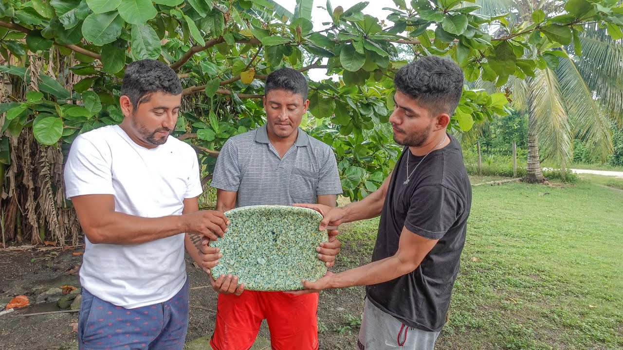 Piedra Maya Que Encontramos En La Pesca As&iacute; Se Usaba