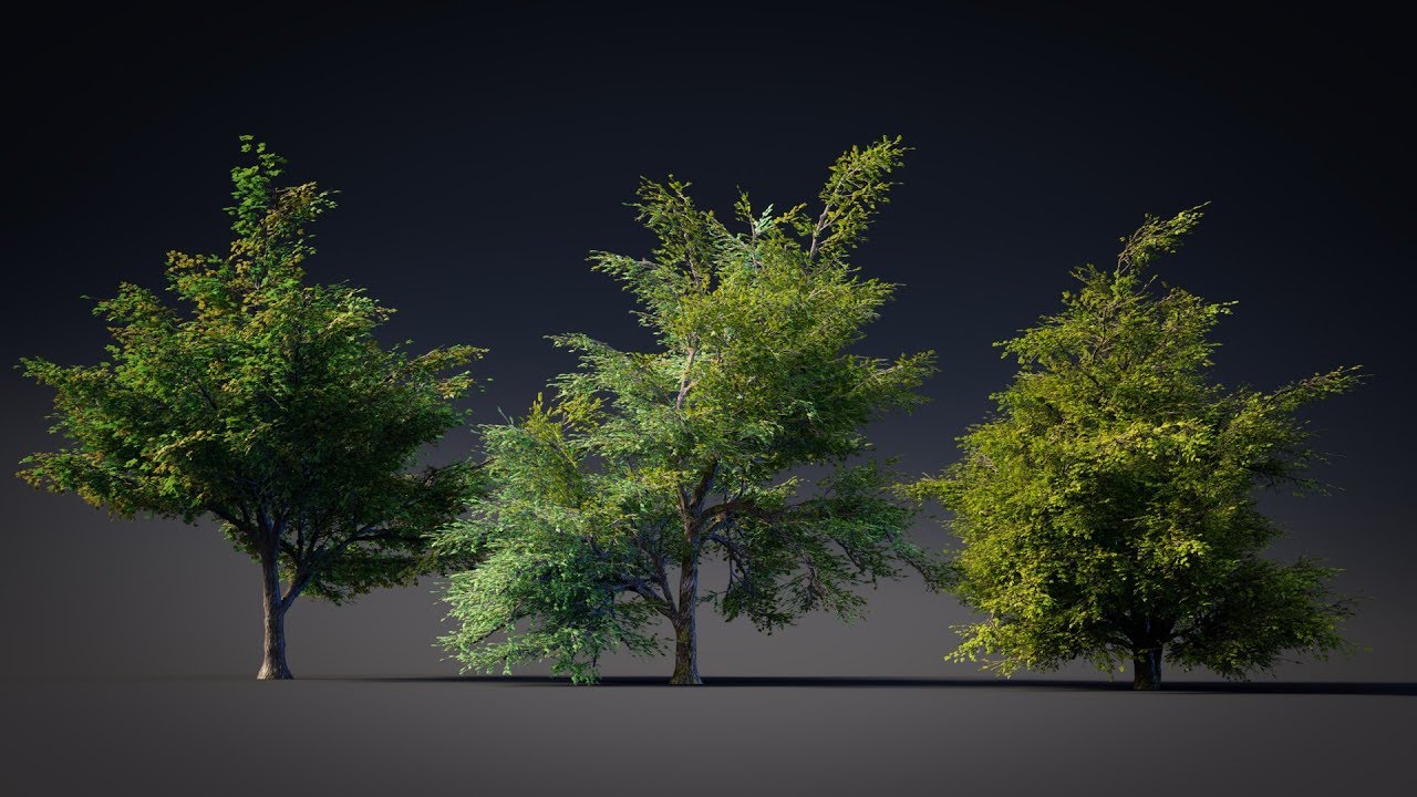Blender2 79 Tree creation with modular tree addon