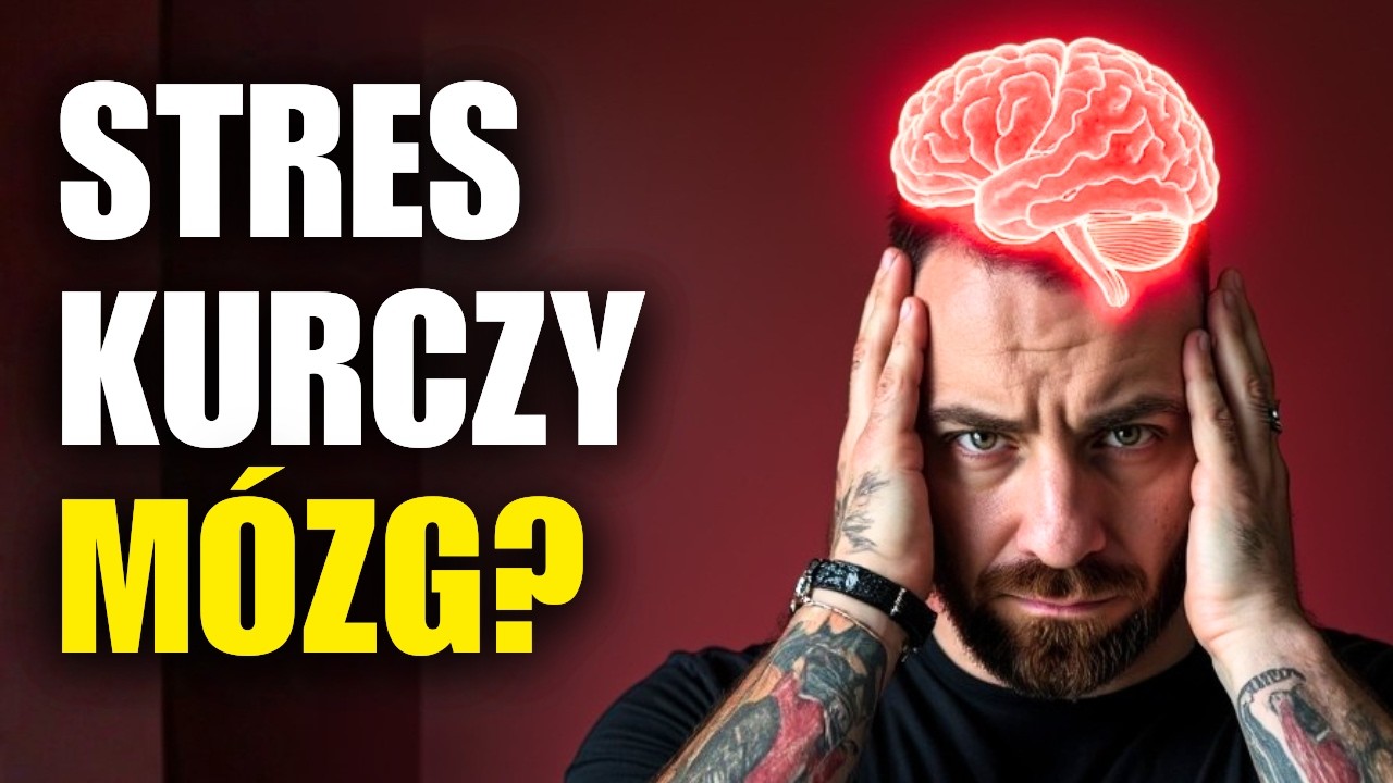 Dlaczego się stresujesz? Jak pokonać stres i frustrację - co mówi nauka w 2026 roku