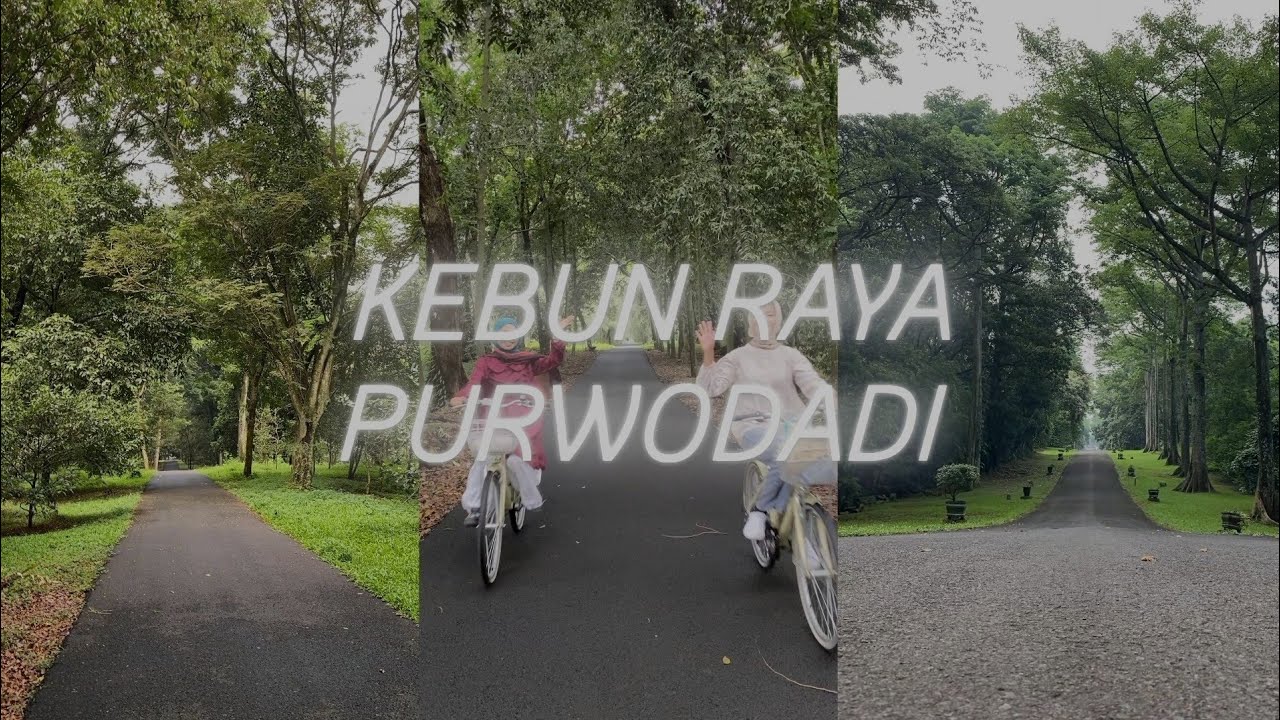 VLOG || kebun raya purwodadi : bocil warlok, monyet, mampir🏞️