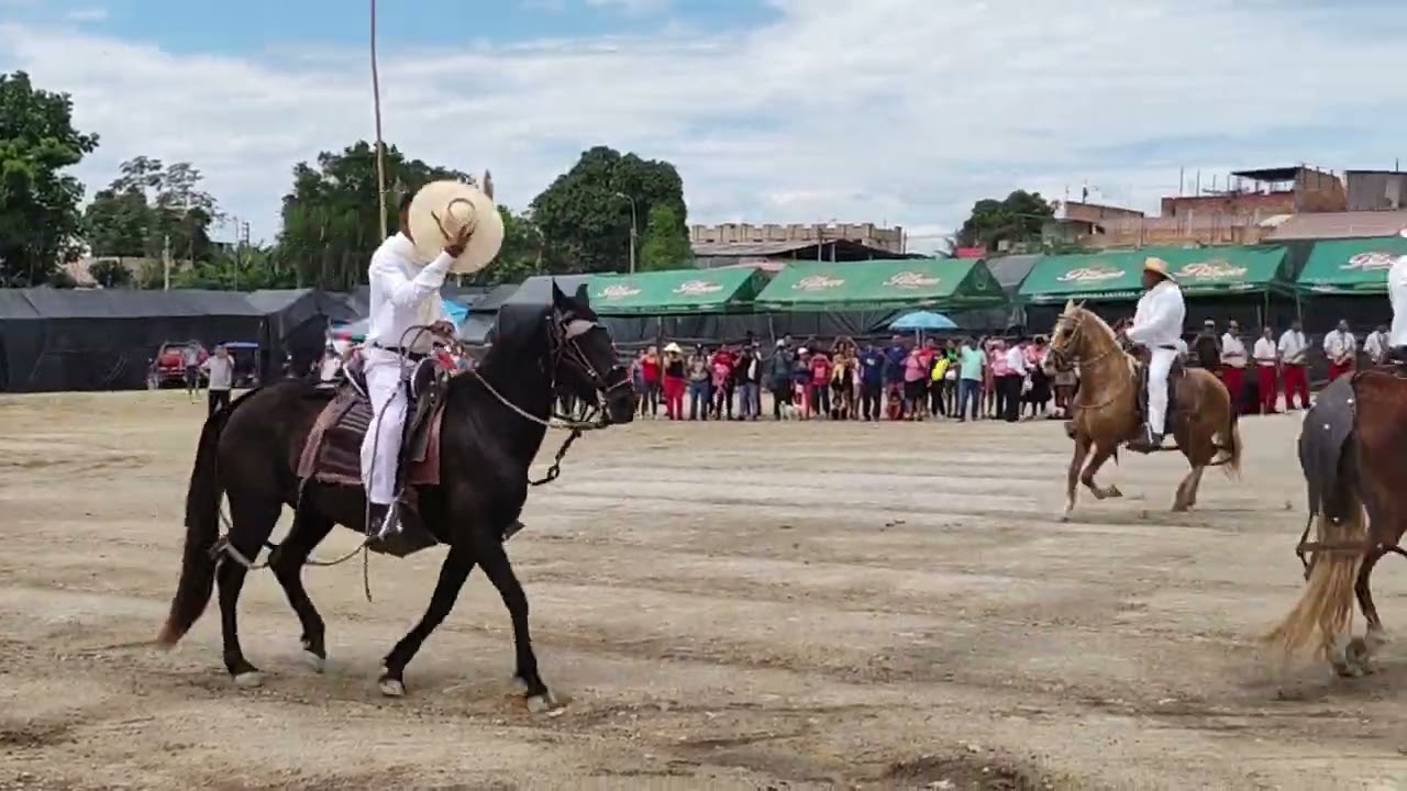 CABALLOS DE PASO  49 AÑOS NUEVA CAJAMARCA
