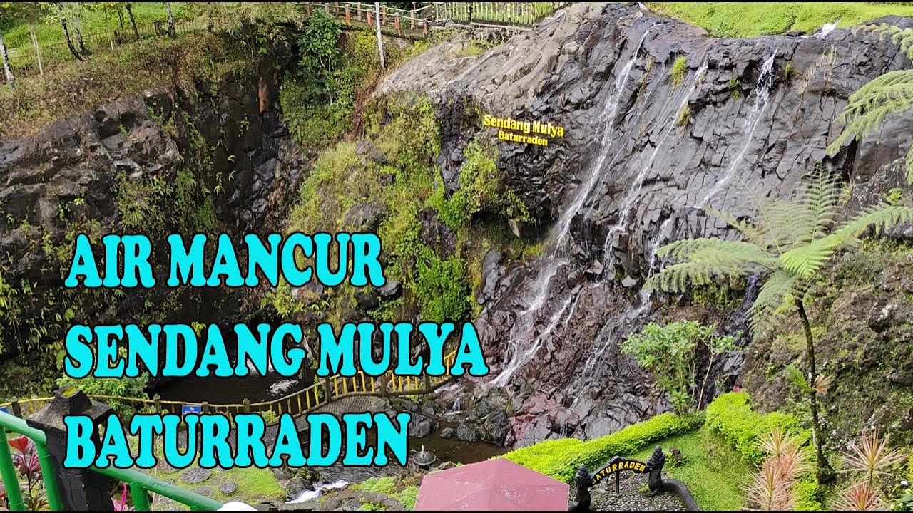 live sekarang! SENDANG MULYA BATURRADEN