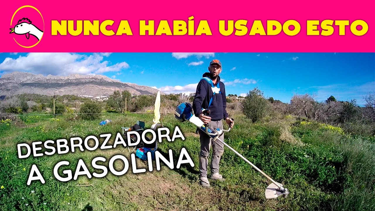 Mi PRIMERA VEZ con una DESBROZADORA a gasolina (Episodio 5) | La Granja de Alicia 🐔🥚  🐔🌿