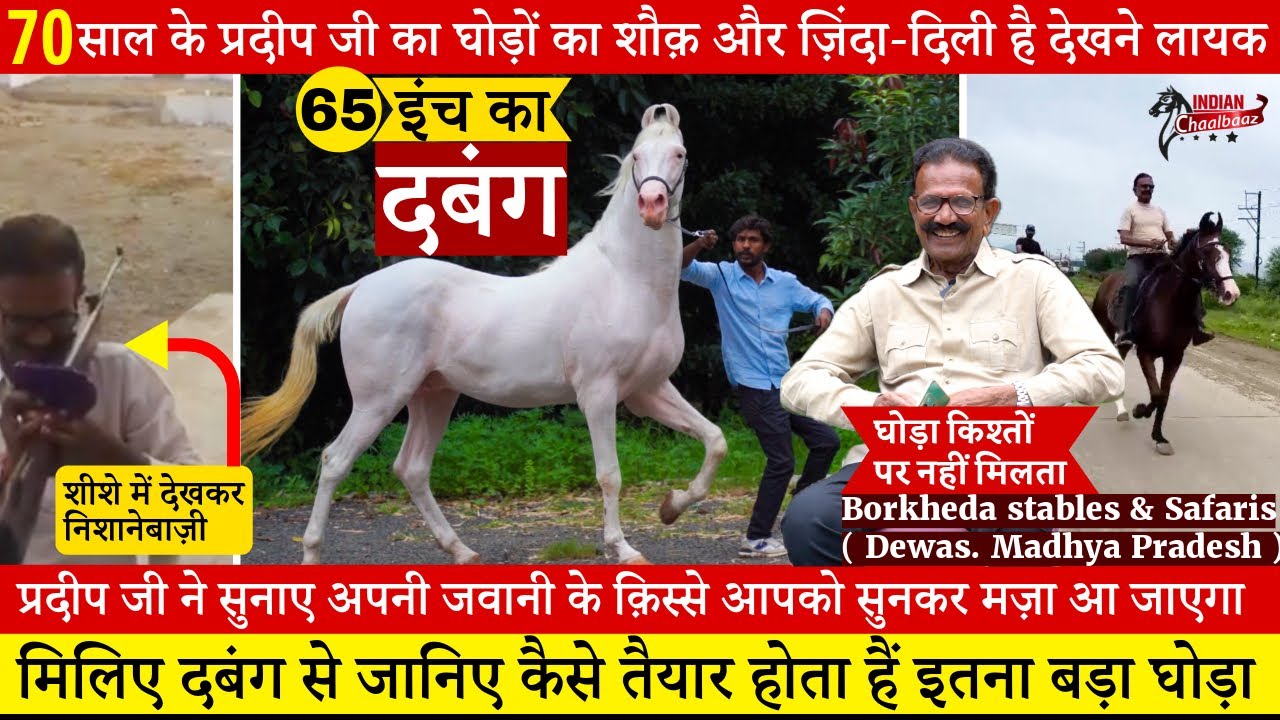 70 साल के प्रदीप जी का घोड़ों का शौक़ और ज़िंदा-दिली है देखने लायक और मिलिए 65 इंच के दबंग घोड़े से