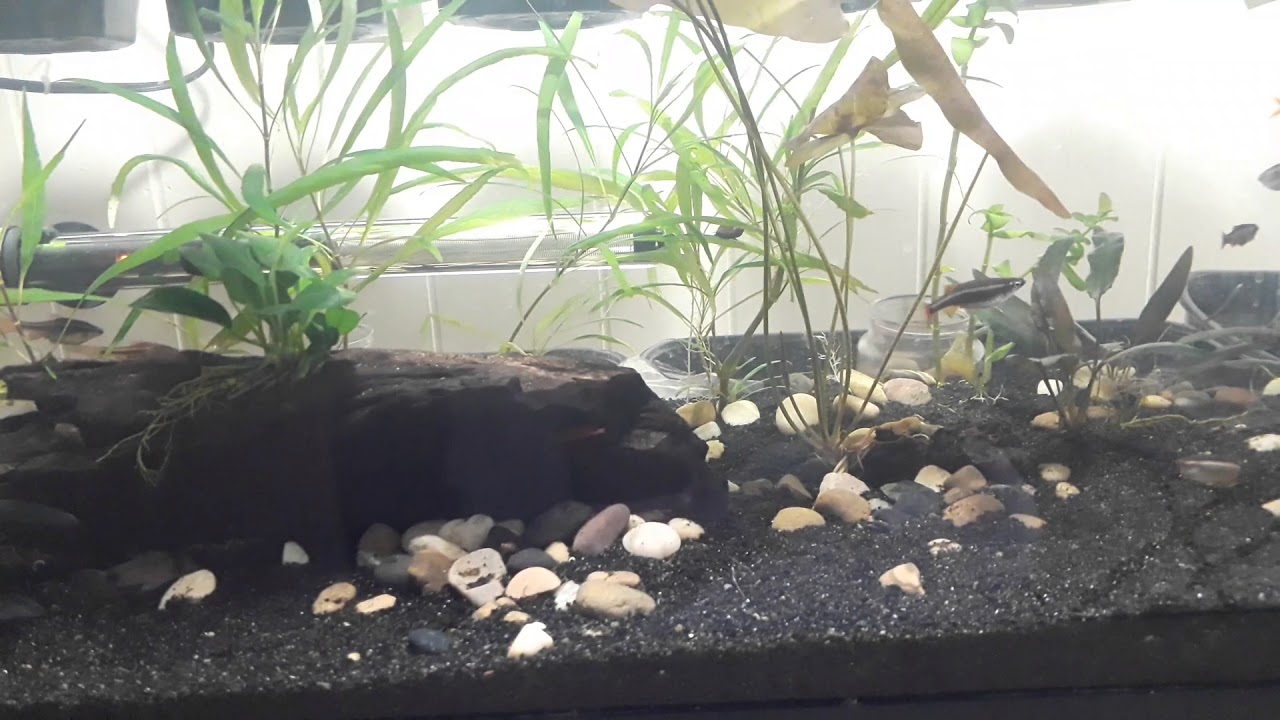 Black Diamond Blasting Sand Review