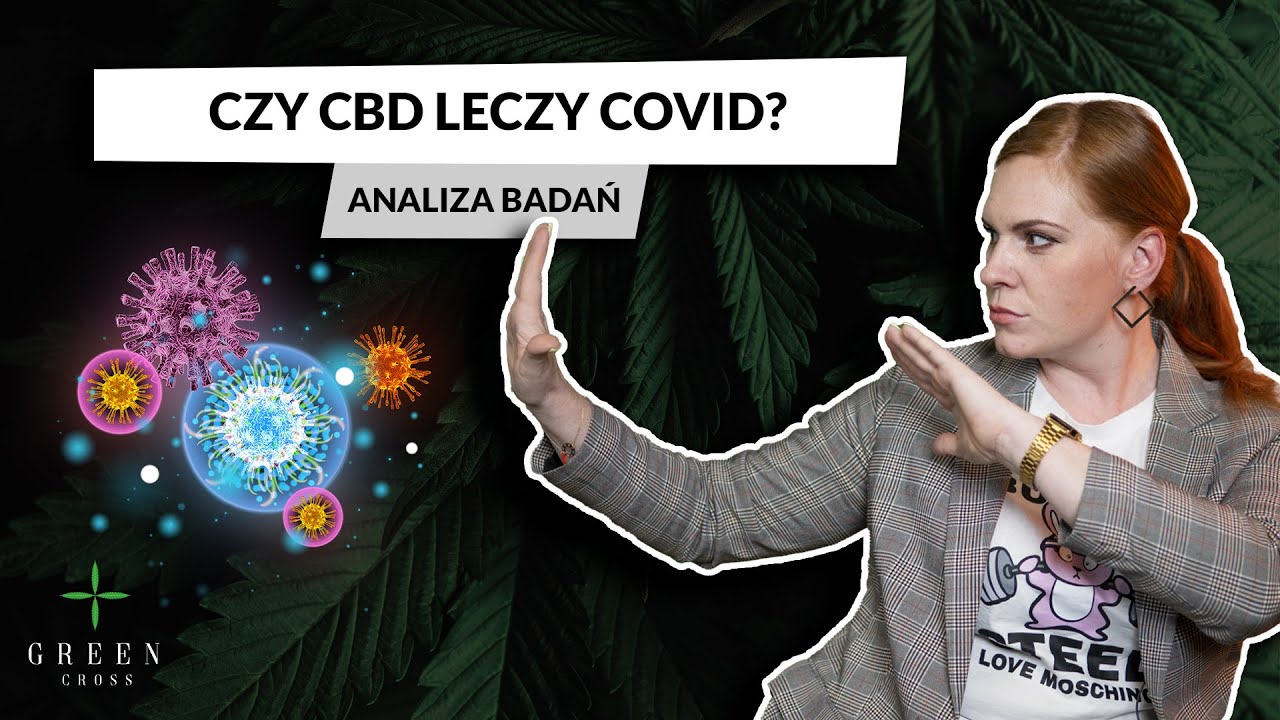 Czy CBD leczy Covid? Analiza badań