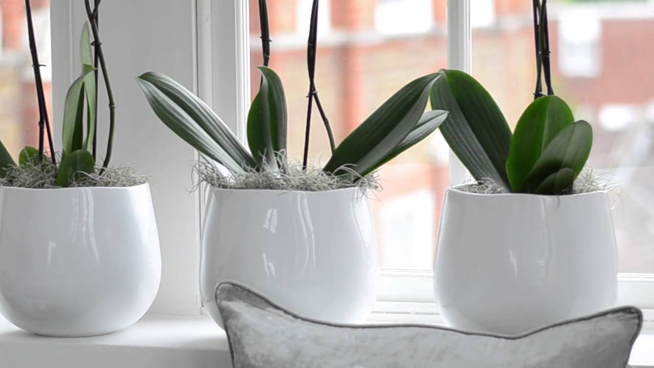 Kelly Hoppen - Organic Glamour || Folk Clients || Folk