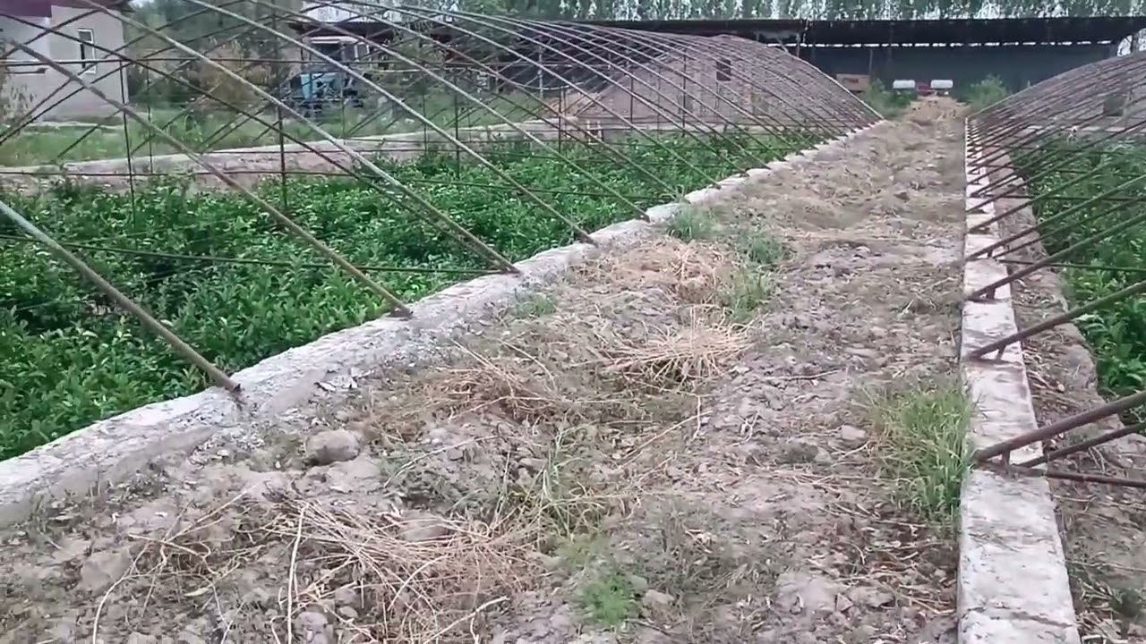 4 сентября 2023 г.
