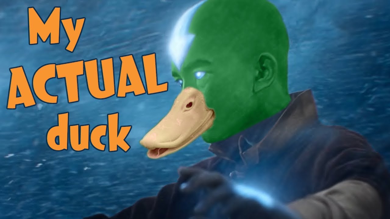 My ACTUAL duck. | SAME Sassing Avatar: The Last Airbender