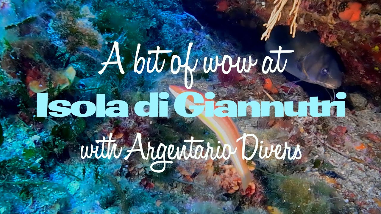 A bit of wow at Isola di Giannutri