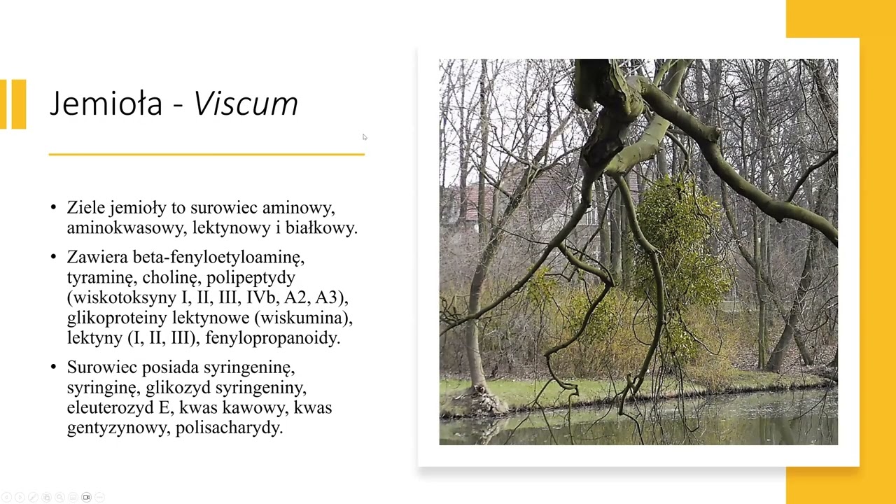 Fitoterapia chor&oacute;b serca i układu krążenia, cz. II, Henryk Rozanski