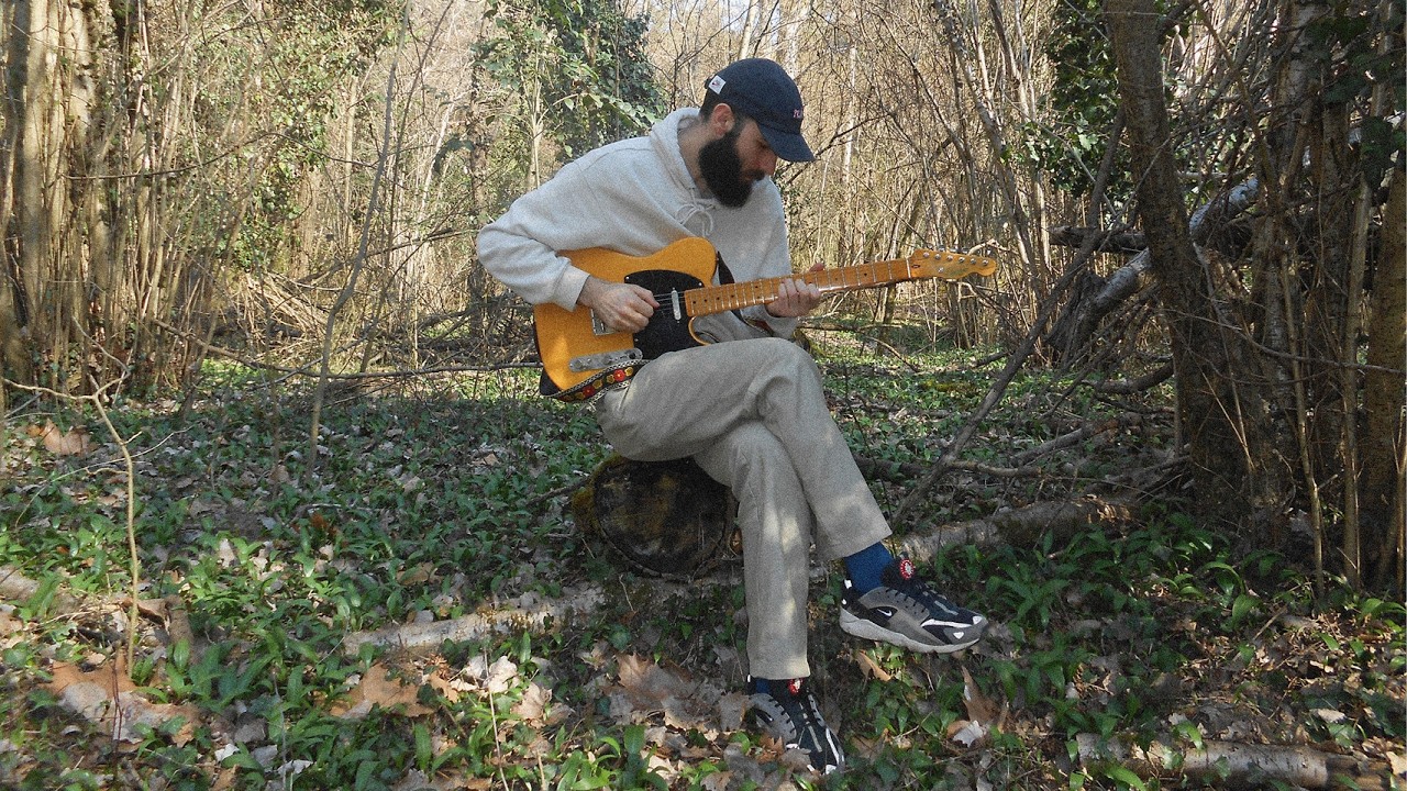 minimo ~ sheep clothing