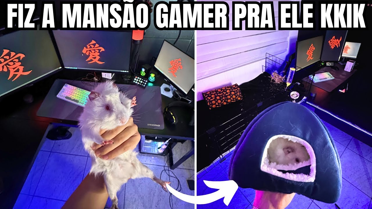 GANHEI R$ 4.000 REAIS PRA COMPRAR UM PORQUINHO DA INDIA E FIZ A CASA GAMER PRA ELE NO SETUP KKKKK