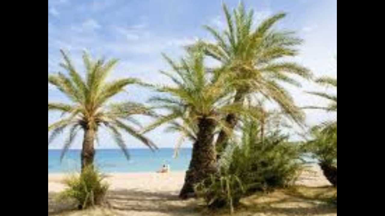 ΣΗΤΕΙΑ  SITIA.wmv