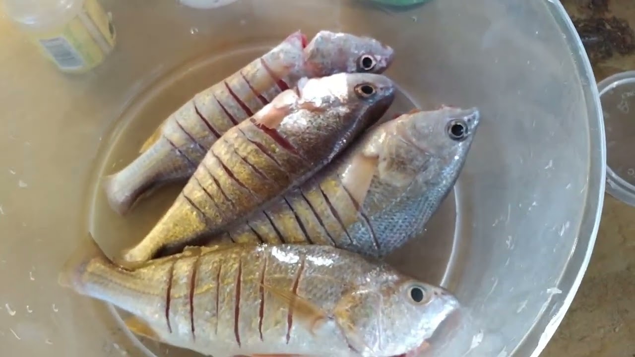 MAKANAN APA PALING SEDAP ATAS KELONG? 