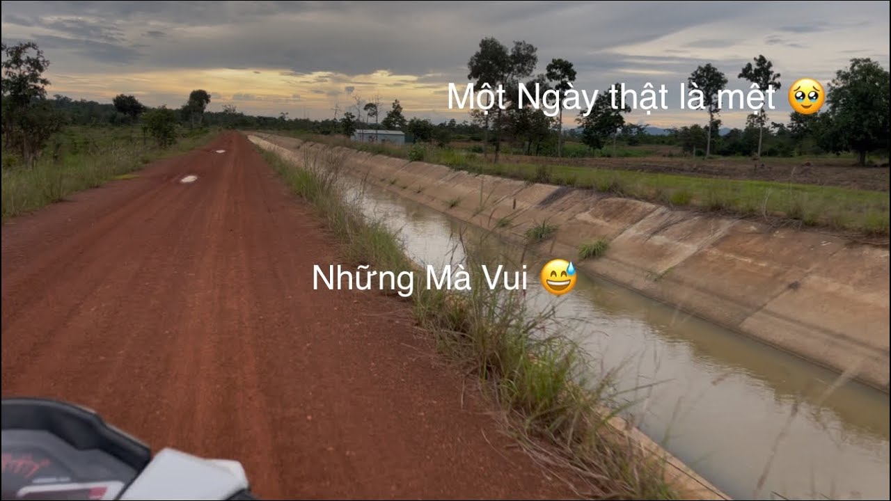 Một Ngày Rất Mệt Mỏi Những Mà vùi_ BLƠI TV 81_