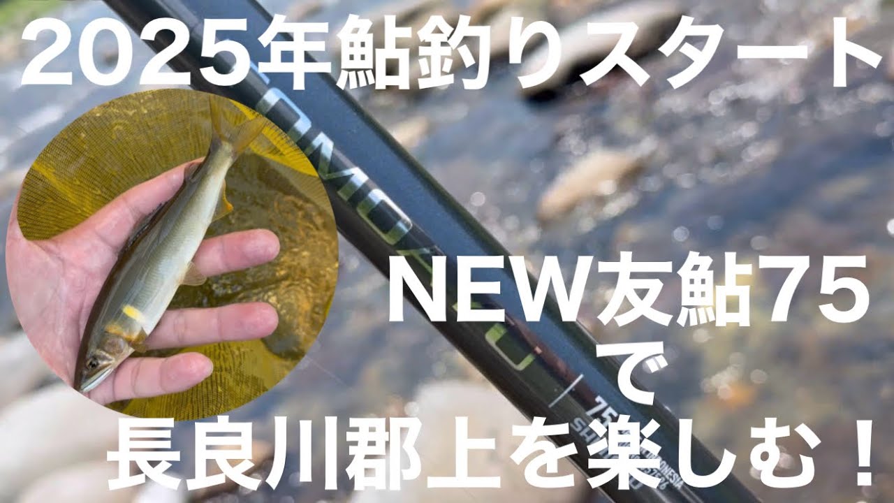 NEW友鮎75で長良川郡上の鮎釣り