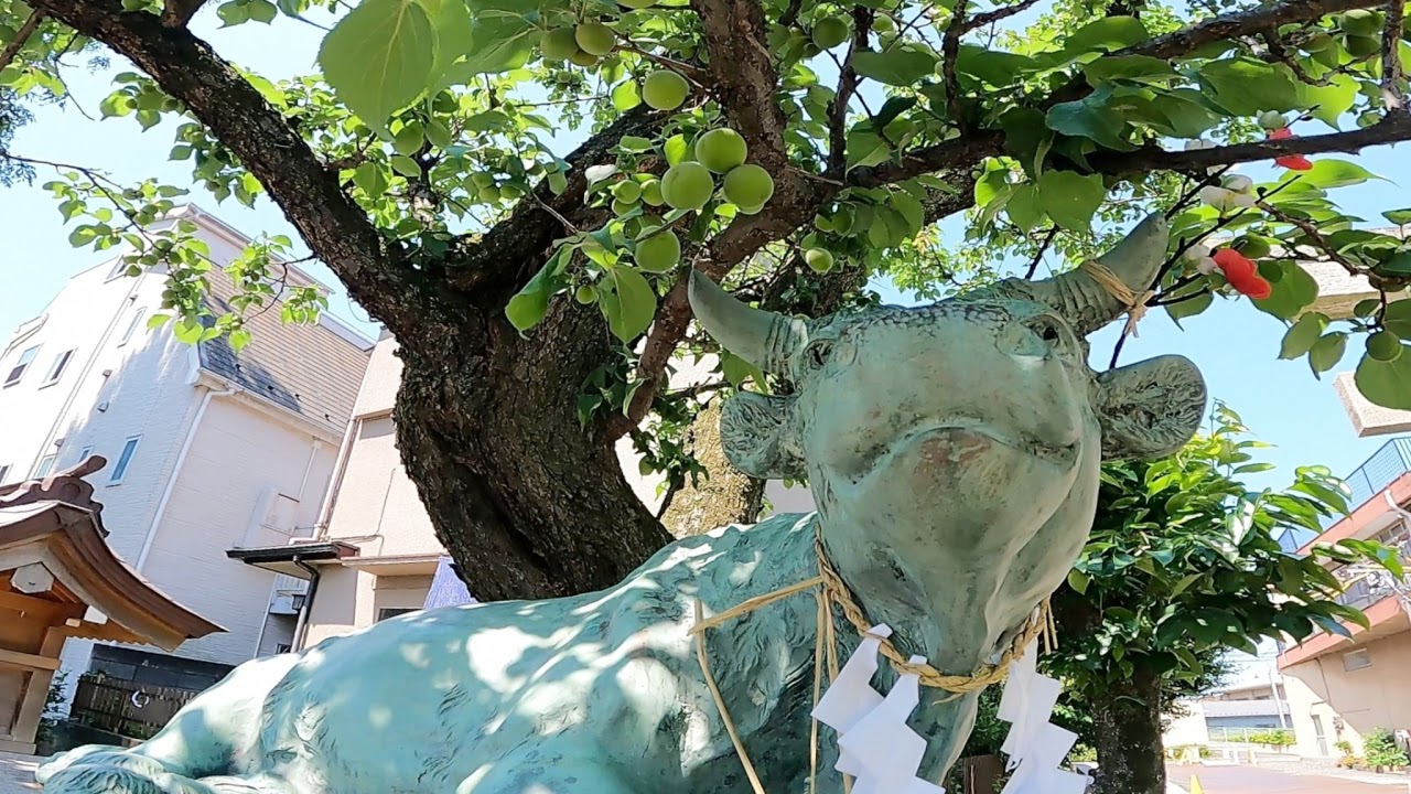 東京都板橋区高島平ライブカメラ Tokyo Itabashi Takashimadaira Live Camera.world.cam