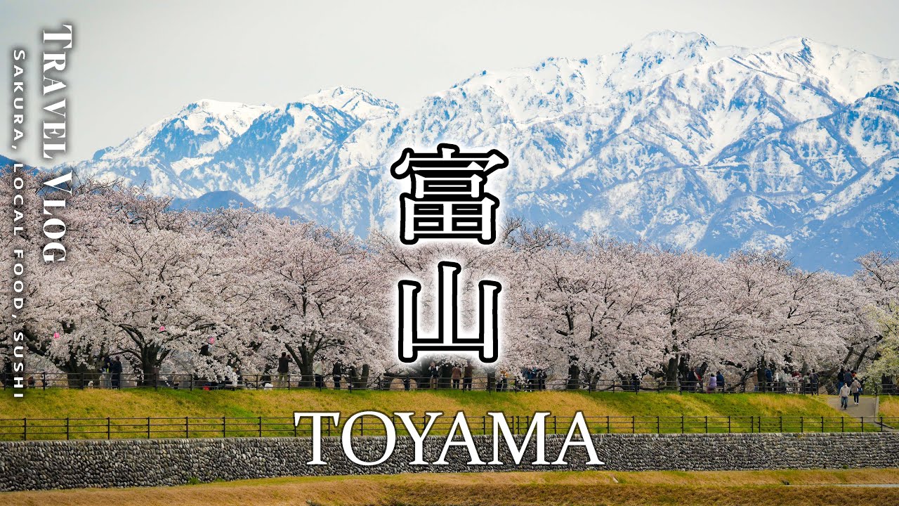 【富山】桜満開！春の富山観光ひとり旅 4K