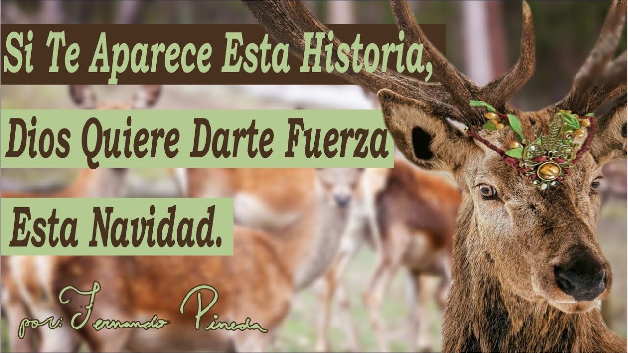 El Rey De Los Ciervos - Reflexiones Que Debemos Escuchar Antes de Navidad #2
