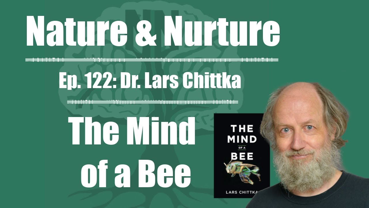 Nature & Nurture #122: Dr. Lars Chittka - The Mind of a Bee