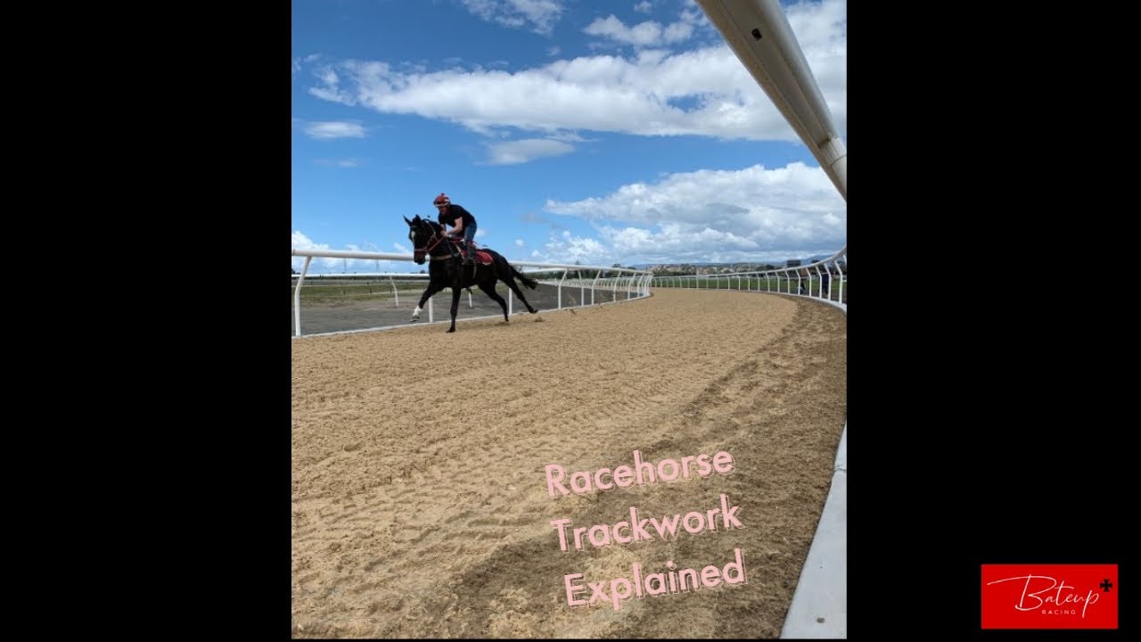 Racehorse Trackwork Explained