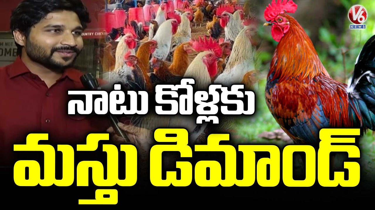Huge Demand For Country Chicken | V6 News