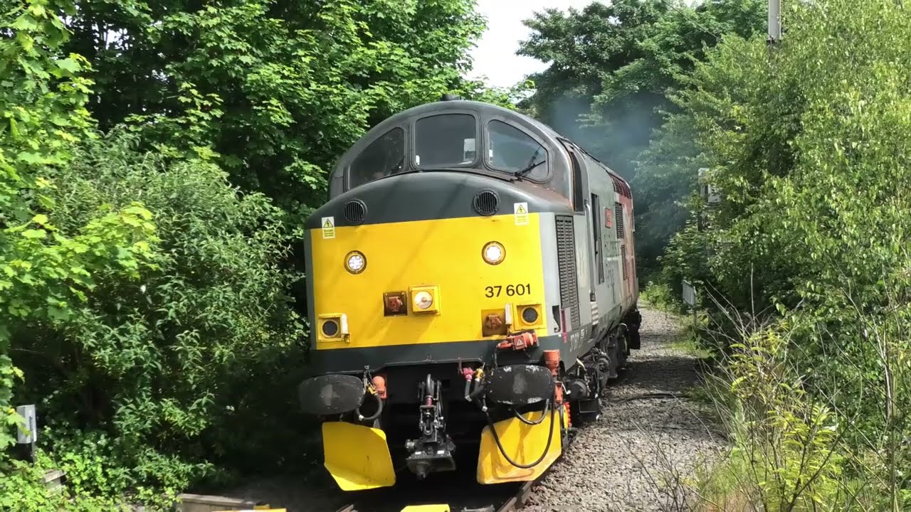 Trains at Lichfield Trent Valley 20/06/24 (inc. 37601)