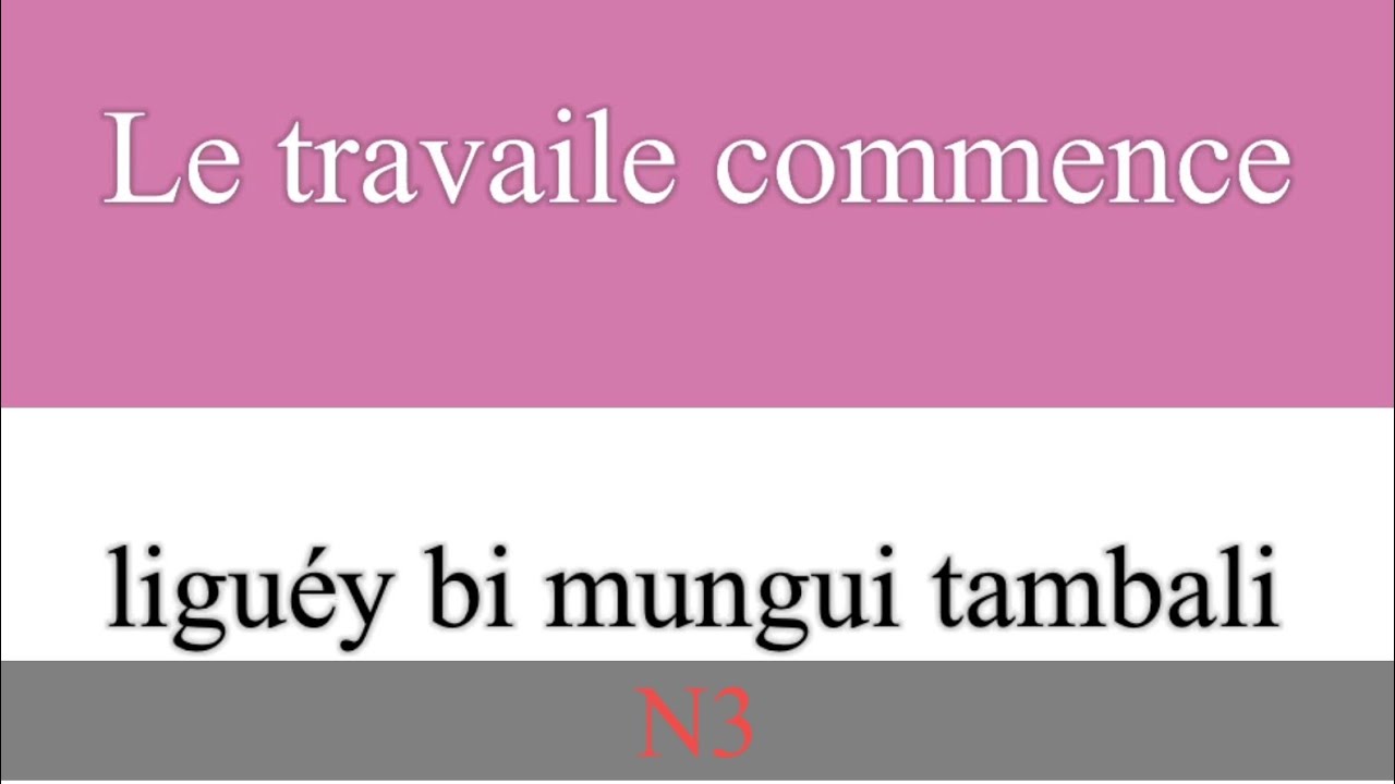 Des phrases plus utilisées en français N3 Apprendre le français Wolof 