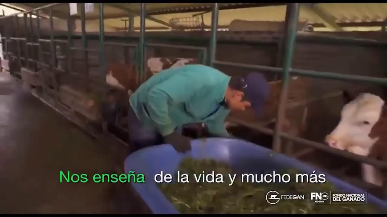 SINIGAN v6: ¿Cómo avanza su implementación?