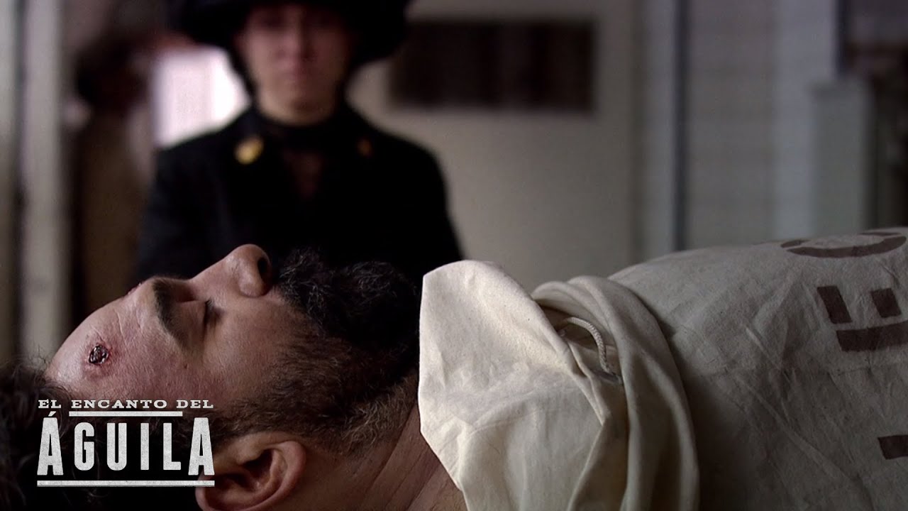 CLIP: 