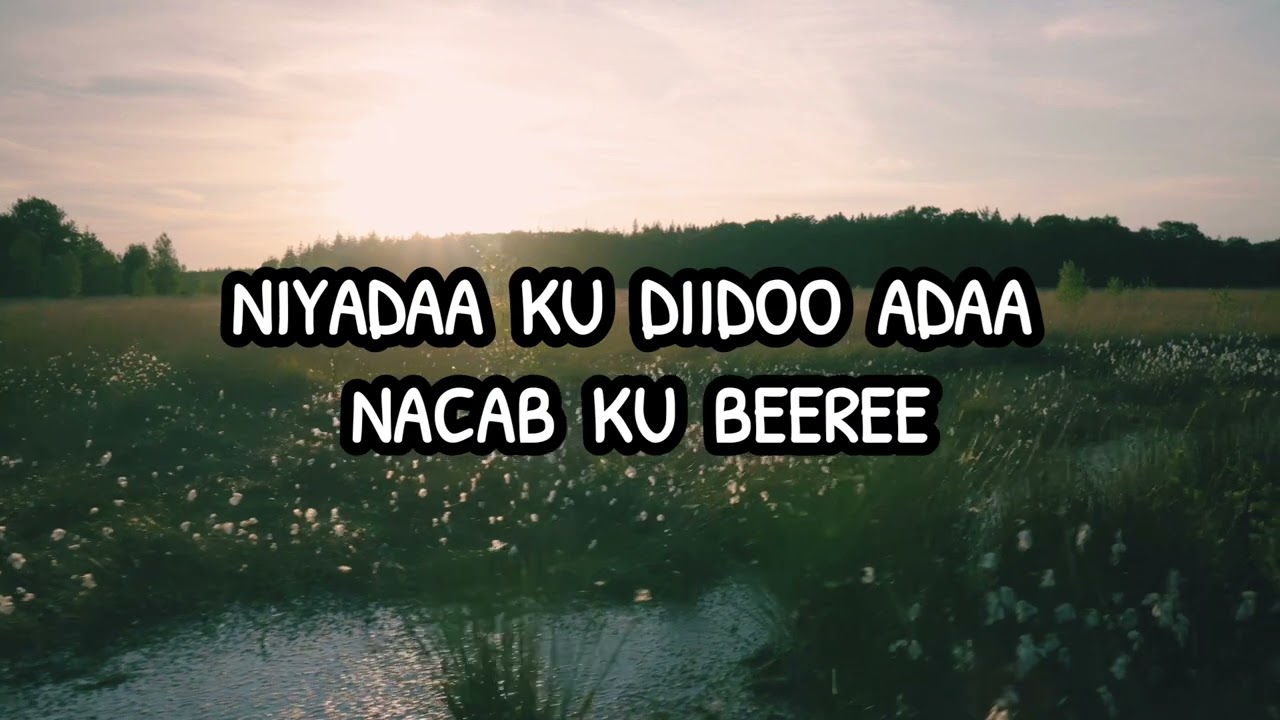 Tijaabi Codkaaga Heesta Nasteexo (Dalab/Codsi)