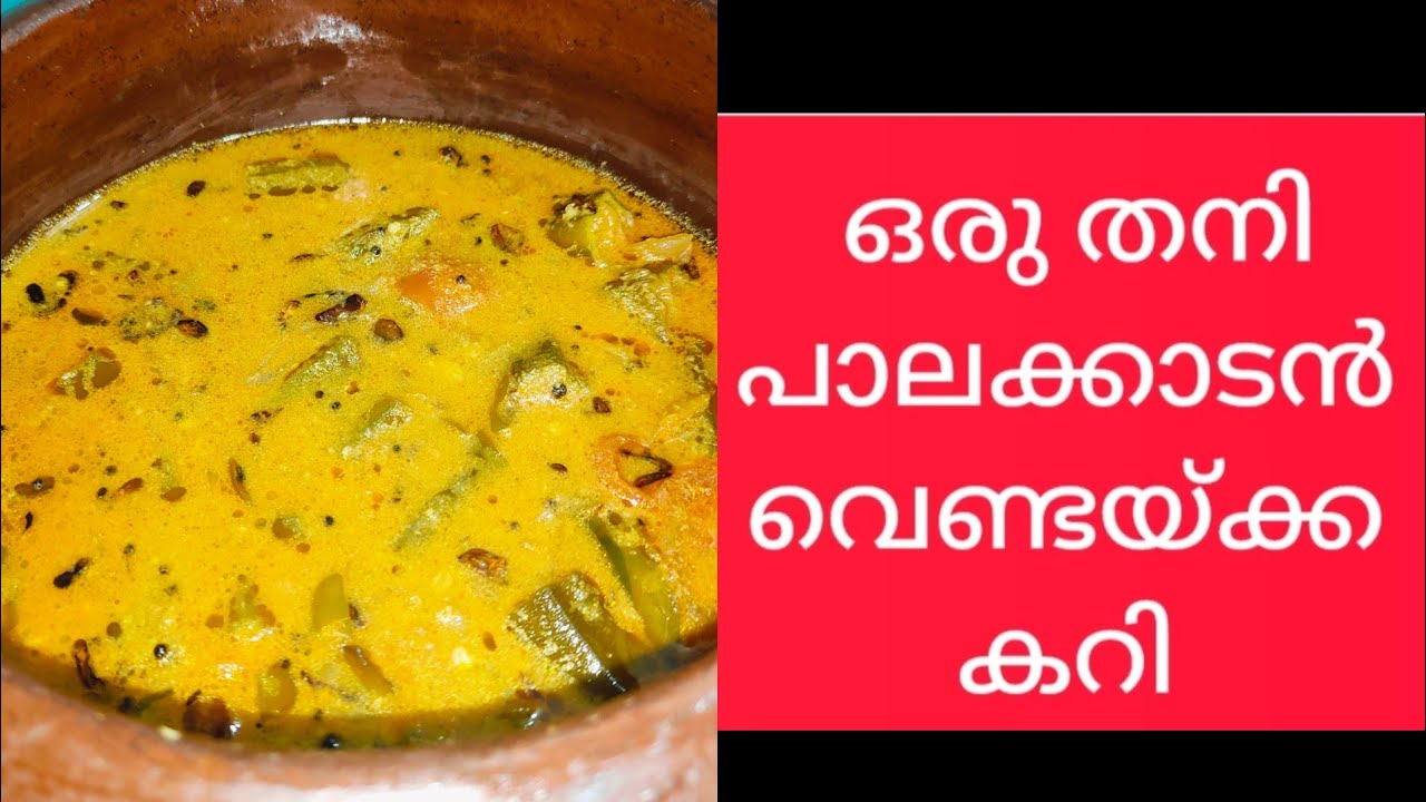 ഒരു പാലക്കാടൻ വെണ്ടയ്ക്ക കറി |  Kerala Style Vendakka  Puli Curry | Okra Masala | Bhindi Curry 