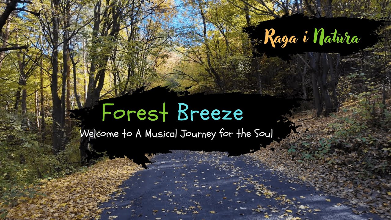 Forest Breeze Vol.1 Joyful Nature-Inspired Music for Meditation, Relaxation & Focus #polskamuzyka