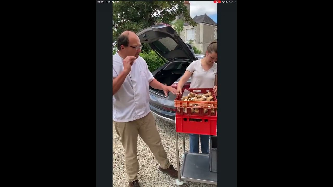 Des cèpes en Pays de Bourgueil