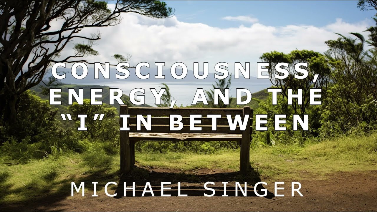 Michael Singer - Consciousness, Energy, and the 