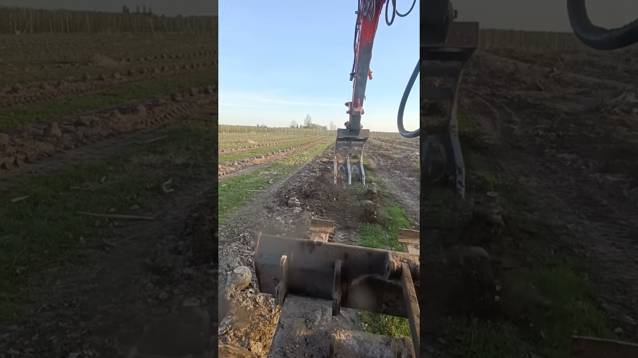 wyrywanie drzew atlas 1004 karczowanie drzew