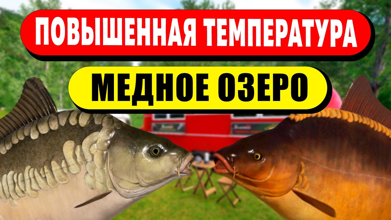 ПОВЫШЕННАЯ ТЕМПЕРАТУРА НА МЕДНОМ ОЗЕРЕ! • НАИСВЕЖАЙШАЯ СВОДКА ОТ ФЕДОРИКА🔥• Русская Рыбалка 4 РР4