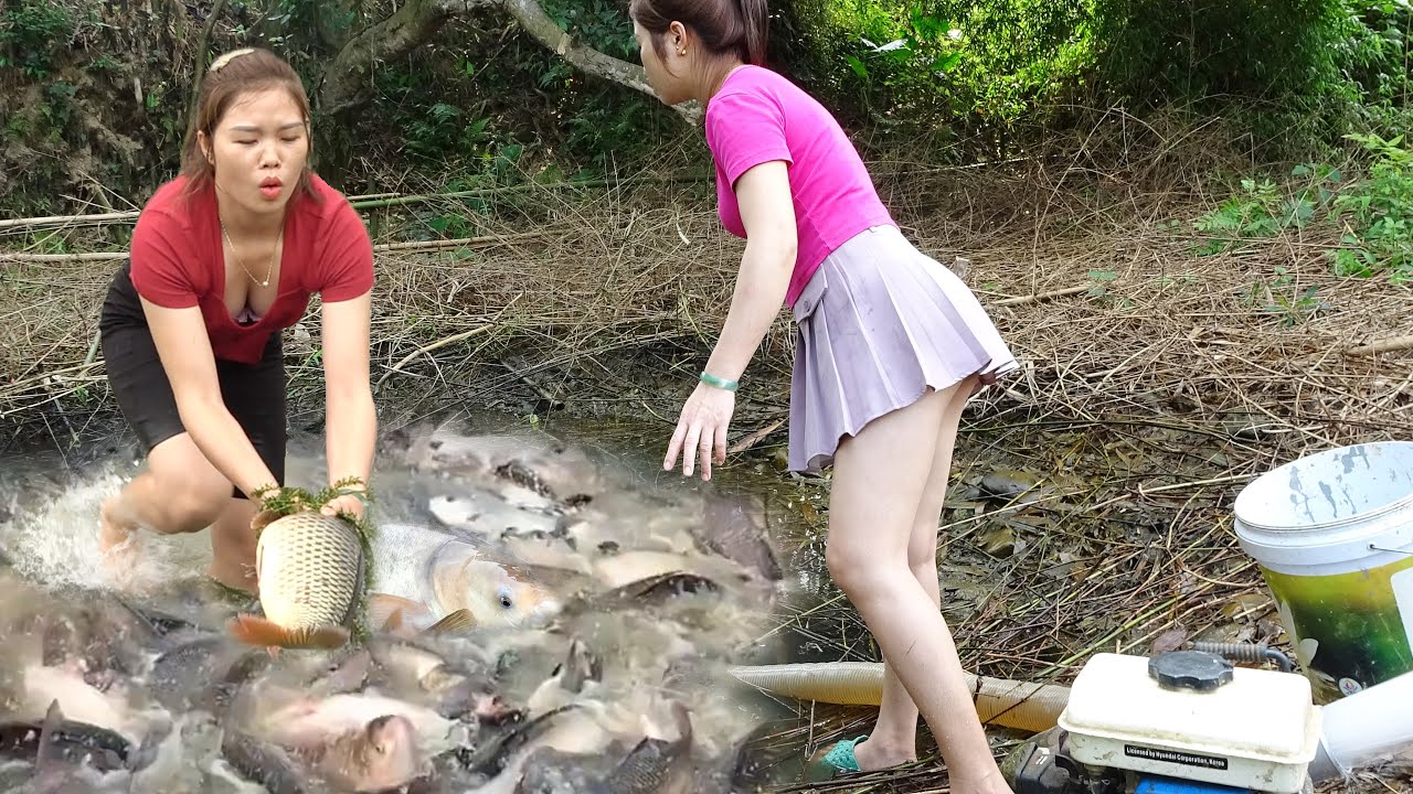 Top Video Fishing: Fishing Exciting, Unique Way to Catch Fish, Fishing Technique Catch a Lot Of Fish