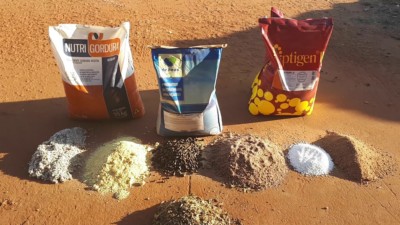 Dieta de Adaptação Para Confinamento
