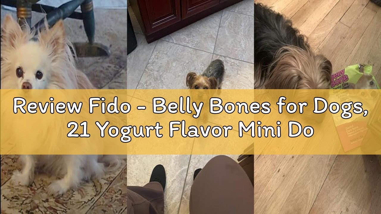 Review Fido - Belly Bones for Dogs, 21 Yogurt Flavor Mini Dog Dental Treats (Made in USA) - 21 Count