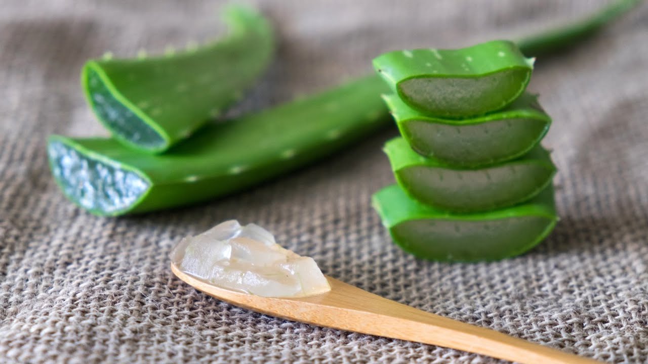 Como usar babosa para queda de cabelo, hidrata&ccedil;&atilde;o, queimadura e anti-inflamat&oacute;rio