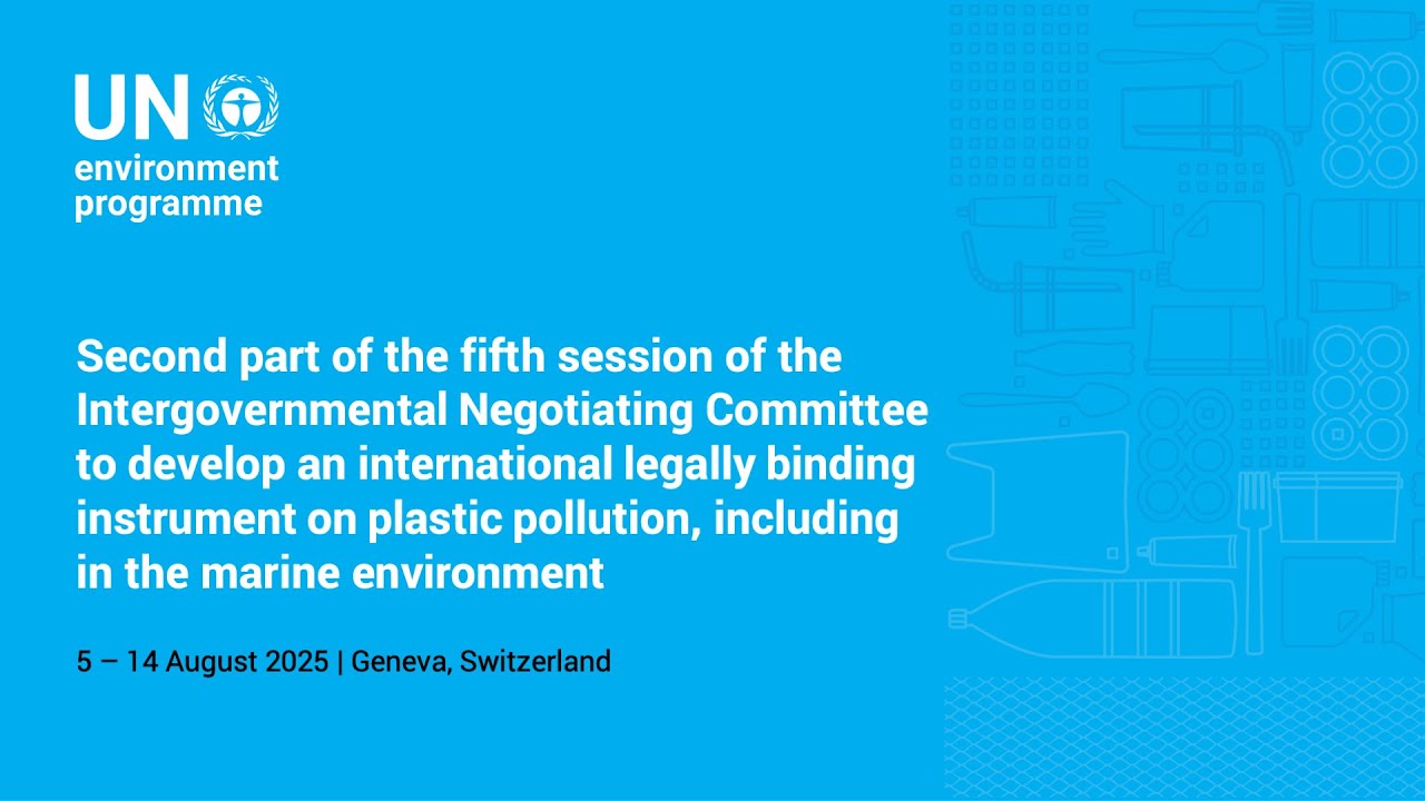 INC-5.2 on plastic pollution (part 2)