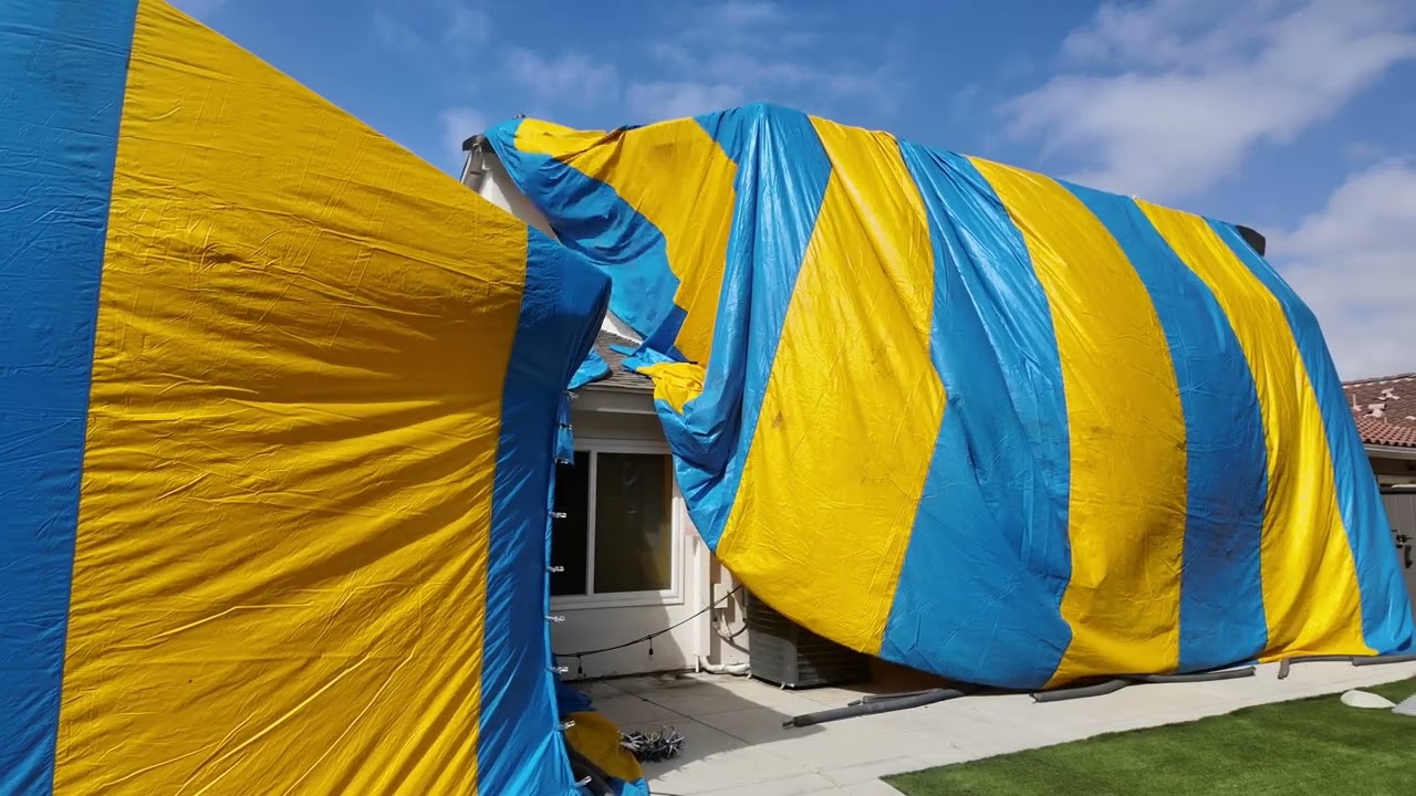 Structural fumigation for drywood termites at Costa Mesa CA  