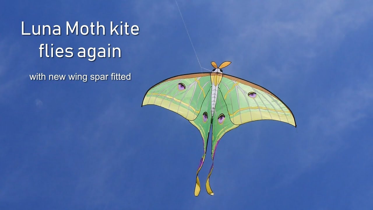 Luna Moth kite flies again after repair