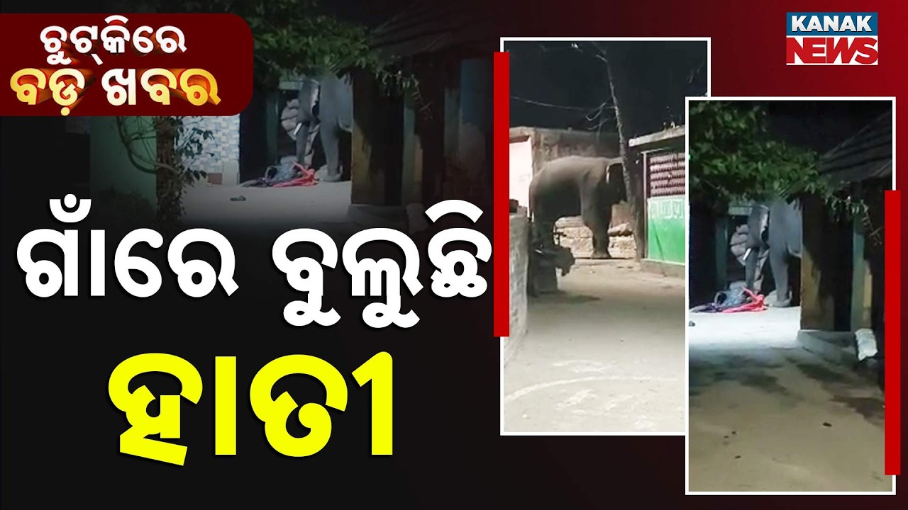 Chutkire Bada Khabar || 23rd  February 2026 || 10AM Digital Bulletin || Kanak News