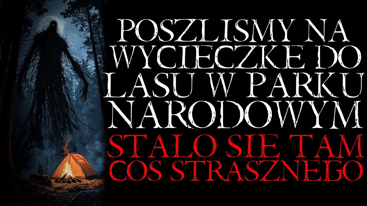 Poszliśmy Na Wycieczkę do Lasu w Parku Narodowym. Stało Się Coś Strasznego - Reddit NoSleep [PL]