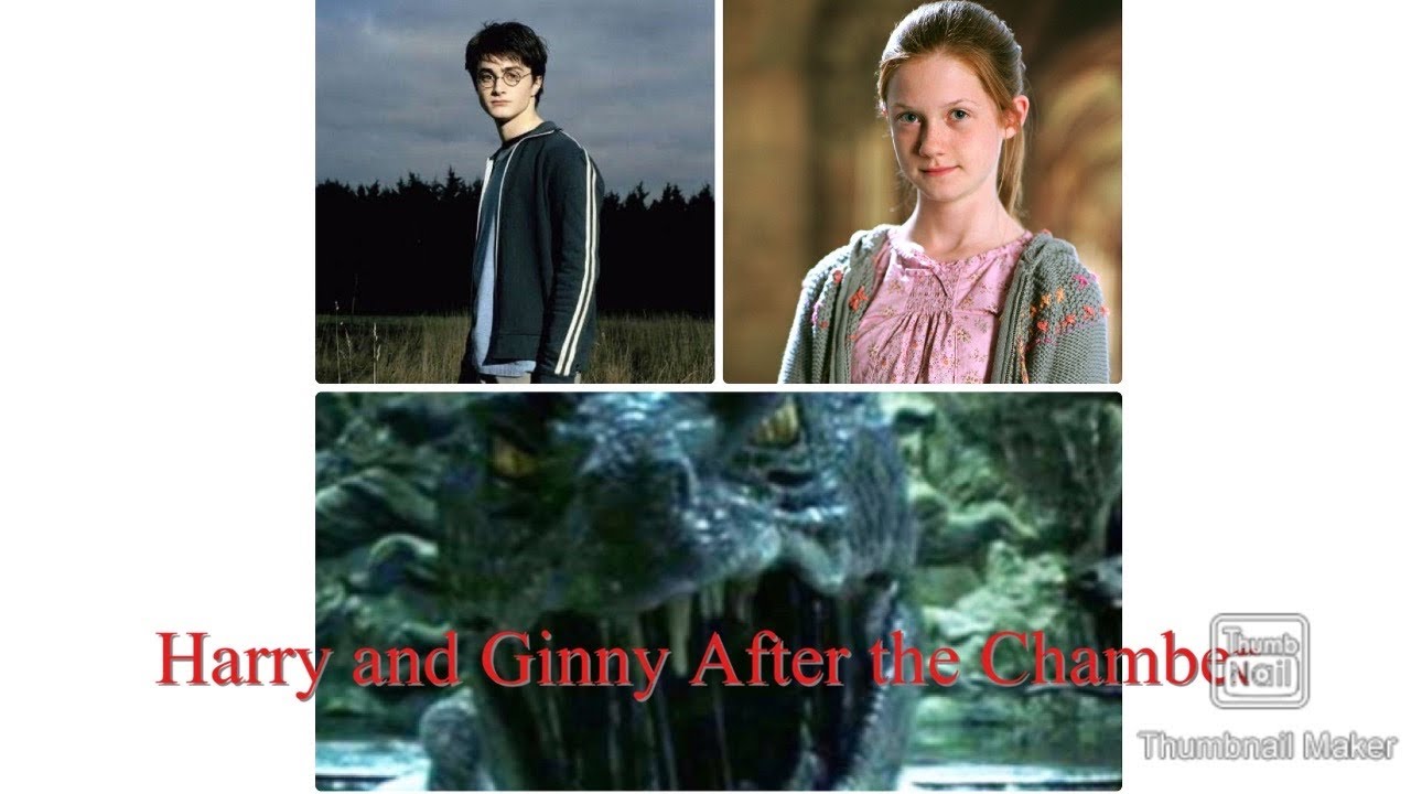 Harry and Ginny After the Chamber 1
