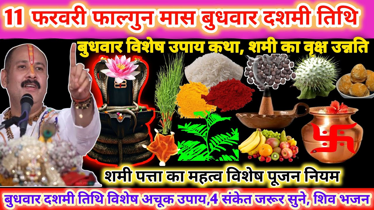 11 फरवरी बुधवार फाल्गुन मास दशमी विशेष उपाय कथा, शमी का वृक्ष उन्नति महत्व विशेष पूजन 🌿🔱#upay#shiv 